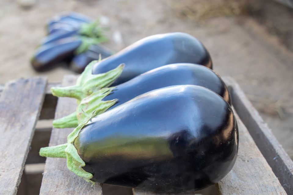 Cool Eggplant Varieties You'll Want in Your Crop Mix - Growing Produce