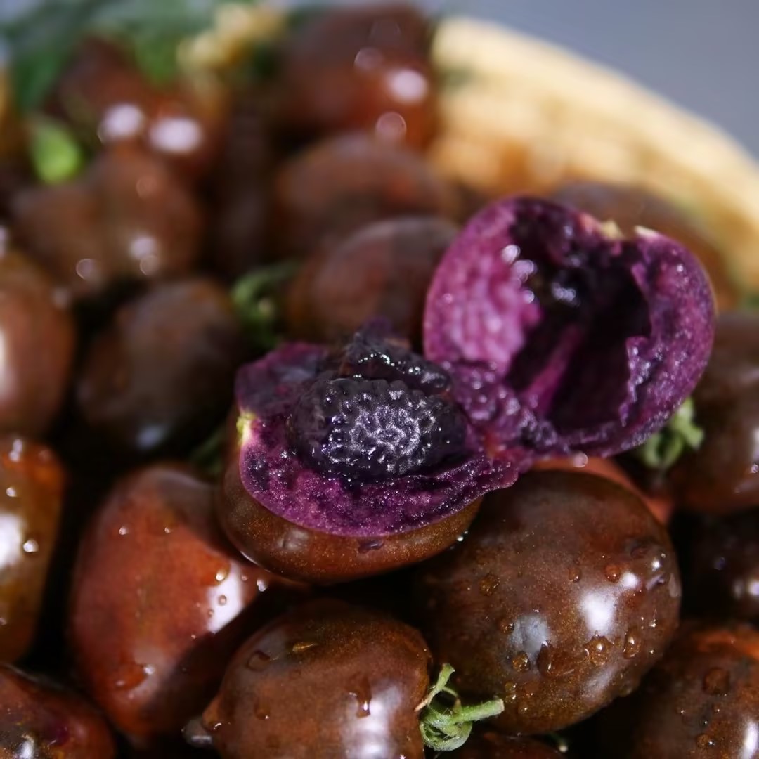 Little Black Rose Tomato Seed🔮