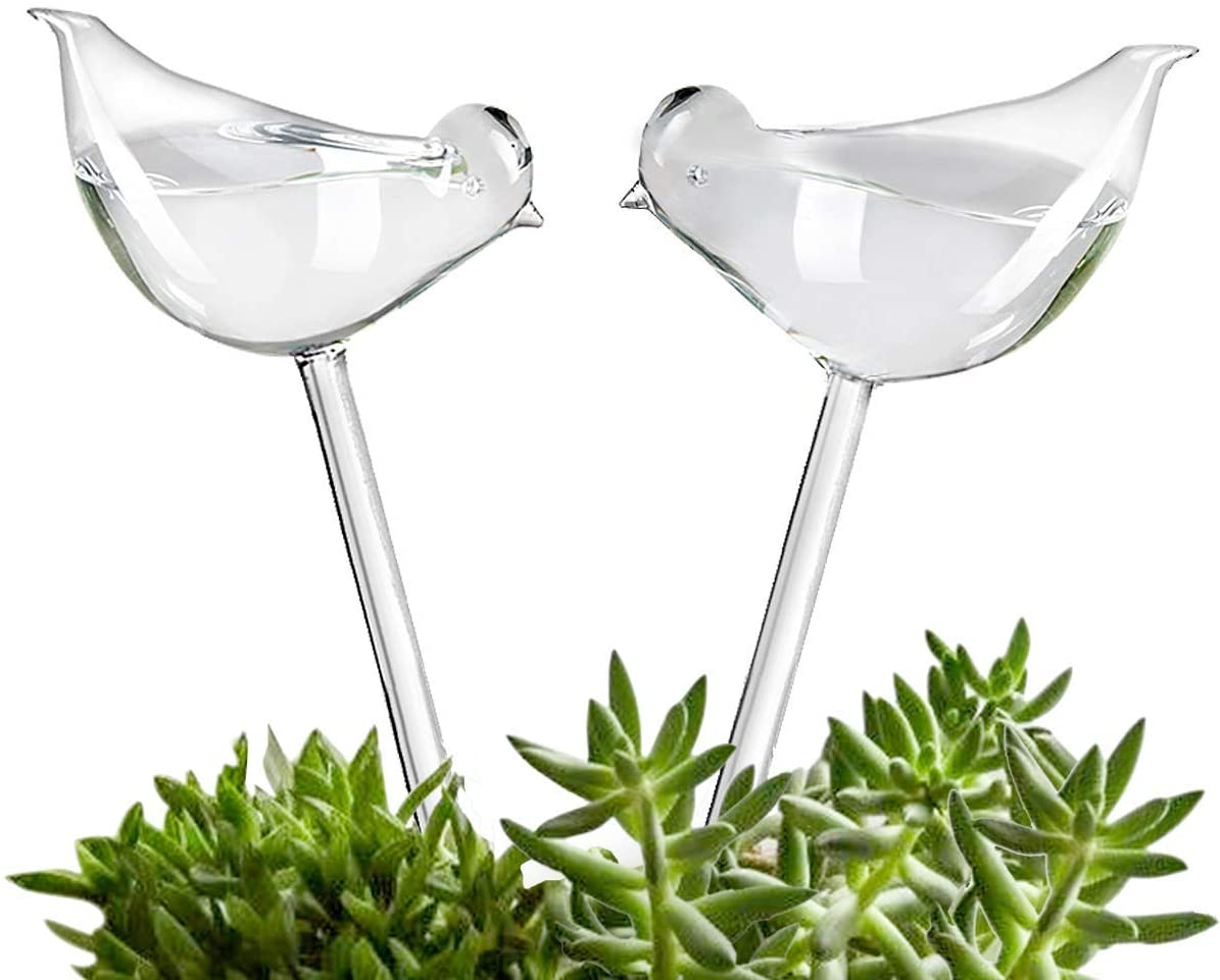 Bird Shape Design Hand Blown Transparent Durable Clear Glass Aqua Bulbs