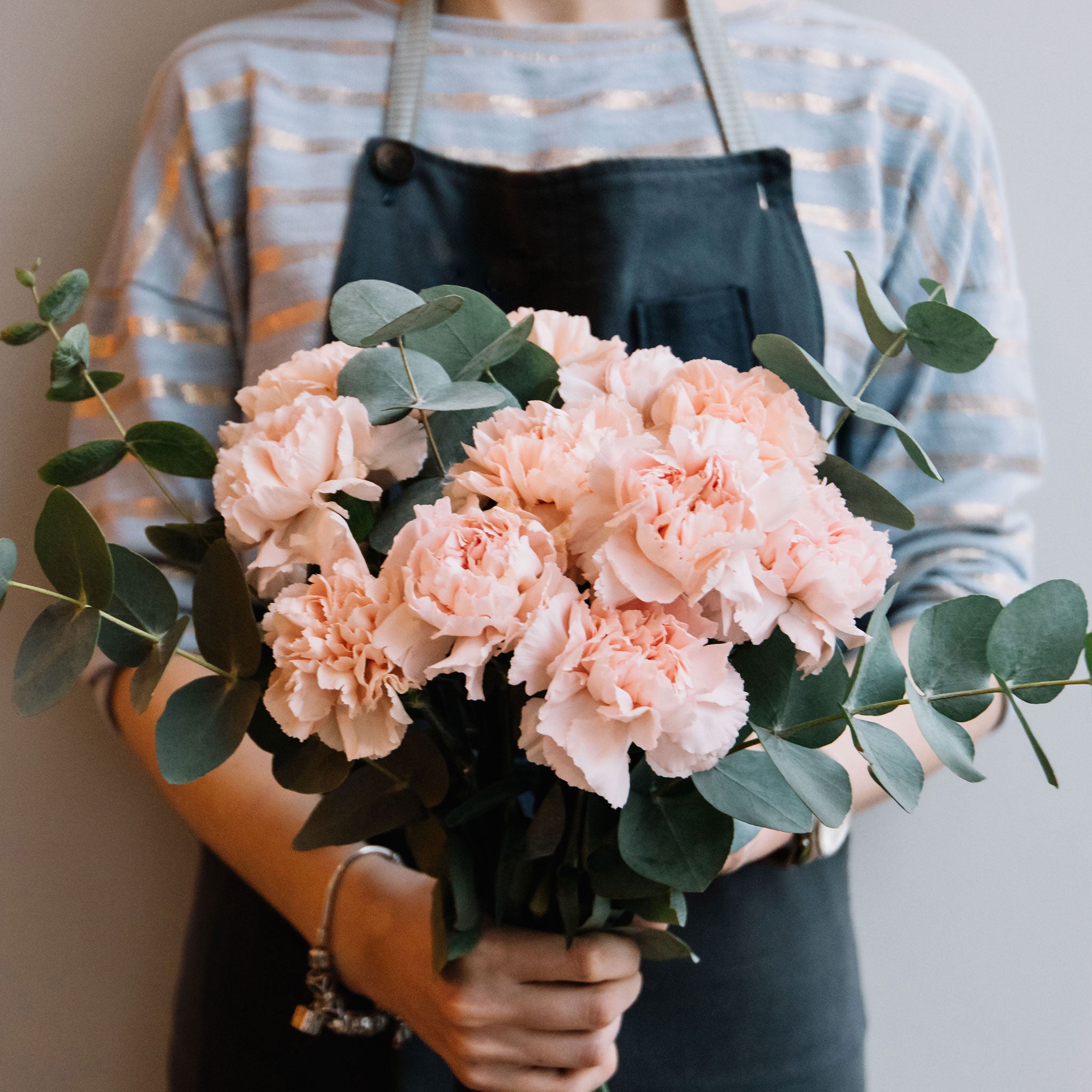 La France Carnation Seeds