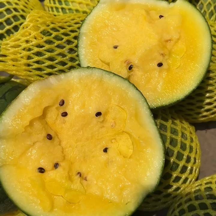 🍧🍉Ice Cream Watermelon Seeds