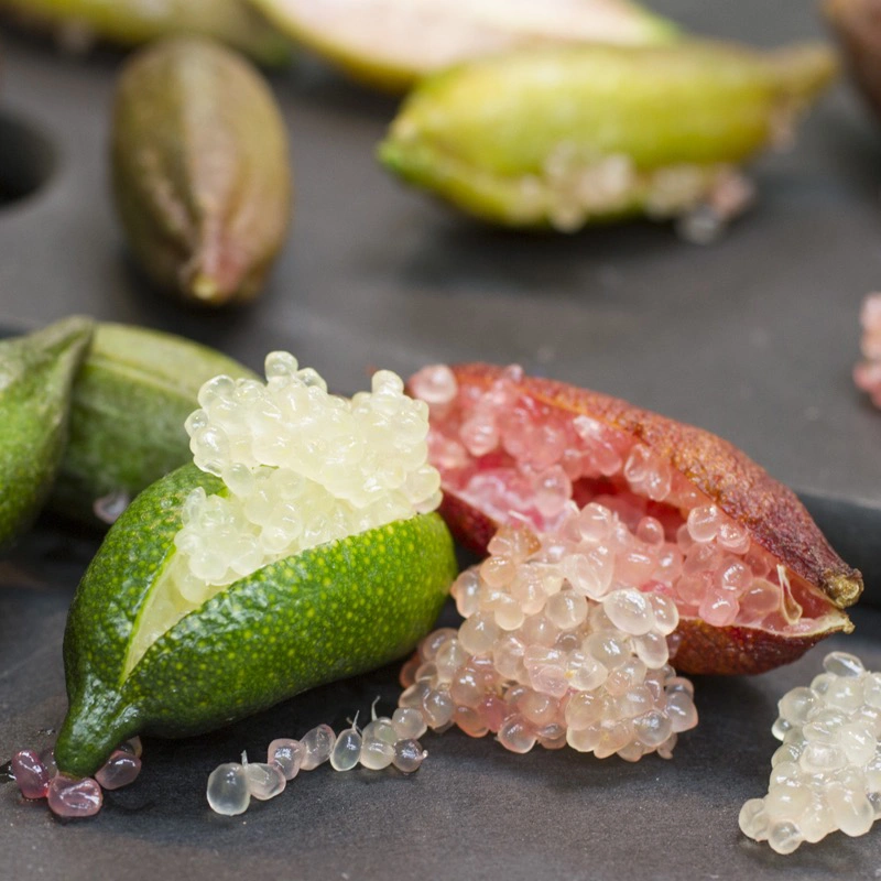 🎉 The Noble Among Lemons👑-Finger Lemon Seeds🍋