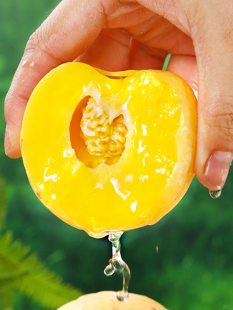 The Fire Of Life-Ginseng Fruit Seeds