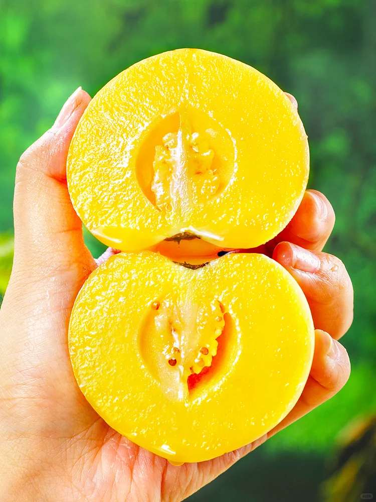 The Fire Of Life-Ginseng Fruit Seeds