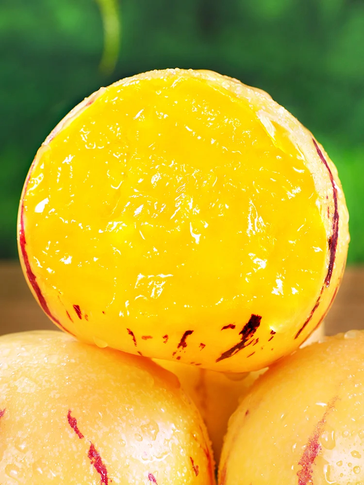 The Fire Of Life-Ginseng Fruit Seeds