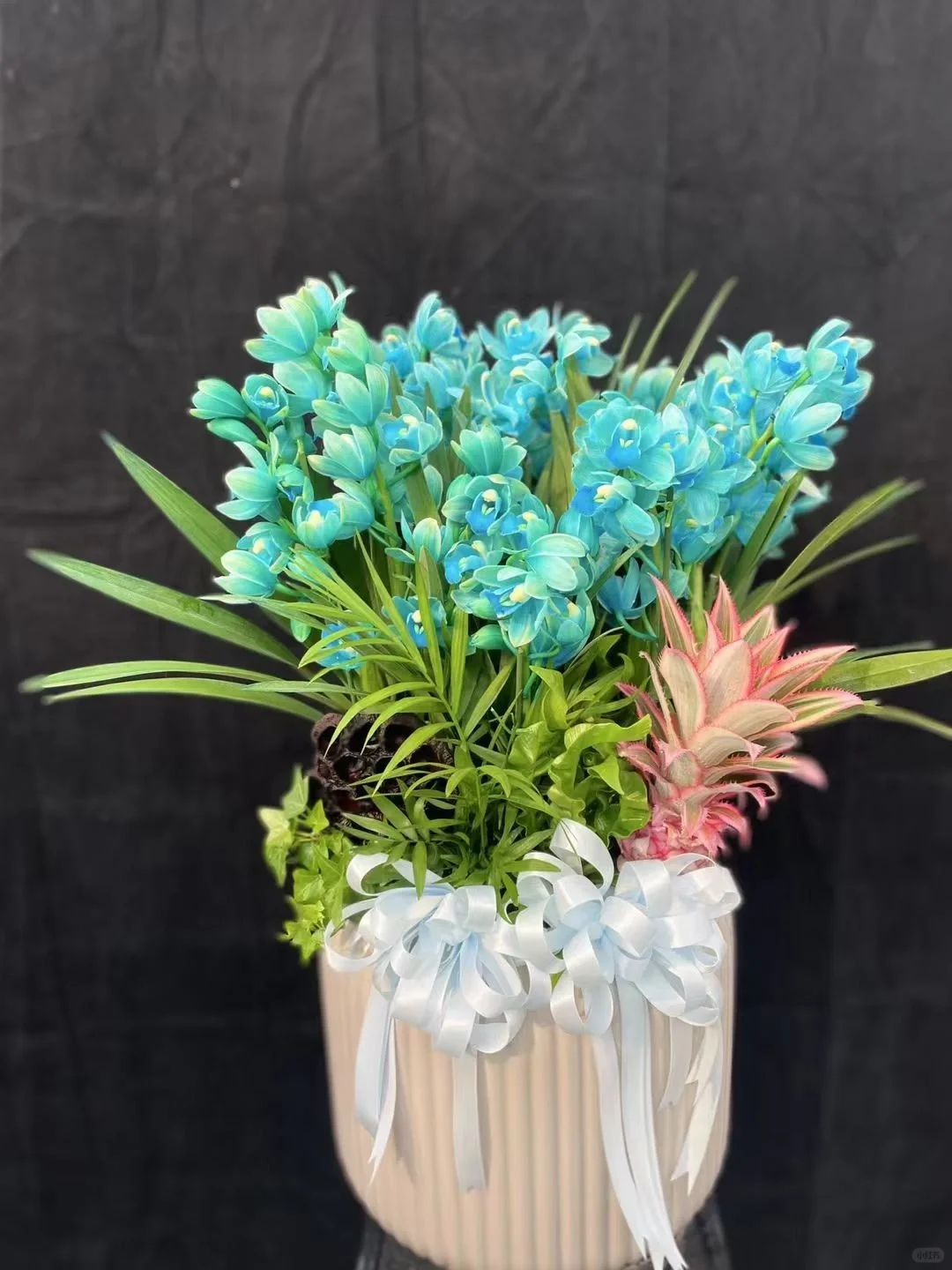 Cymbidium Faberi Seeds