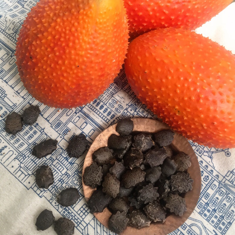 🎆Hot Sale🥂Source Of Superfruit -Gac Seeds🥥