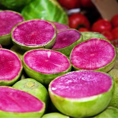 🍉Giant Fruit Radish Seeds🥕