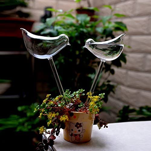 Bird Shape Design Hand Blown Transparent Durable Clear Glass Aqua Bulbs