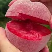 💥Winter Sale☃️Blood Peach - Rare Heirloom Fruit🍑