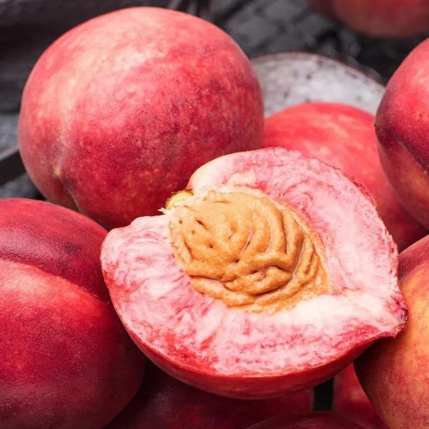 💥Winter Sale☃️Blood Peach - Rare Heirloom Fruit🍑