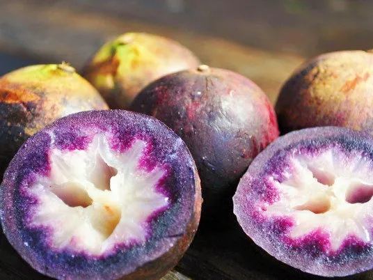 Star Apple - Chrysophyllum cainito - Rare Fruit Species