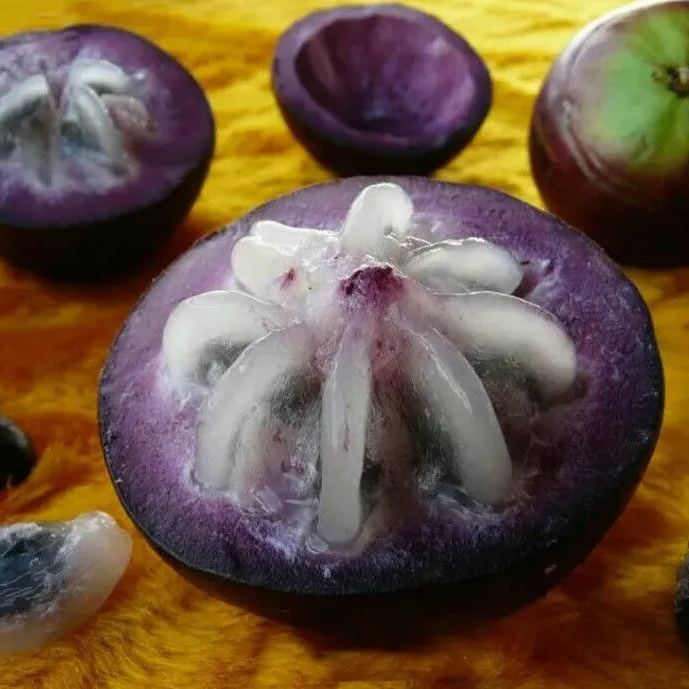 Milk Fruit (Star Apple)