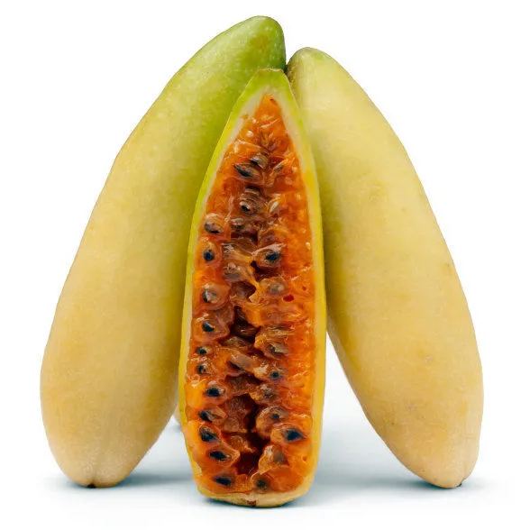 🎆Hot Sale🥂  Banana Passion fruit Seeds🍋 🍌