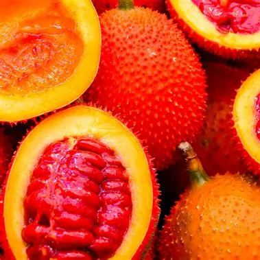 🎆Hot Sale🥂Source Of Superfruit -Gac Seeds🥥