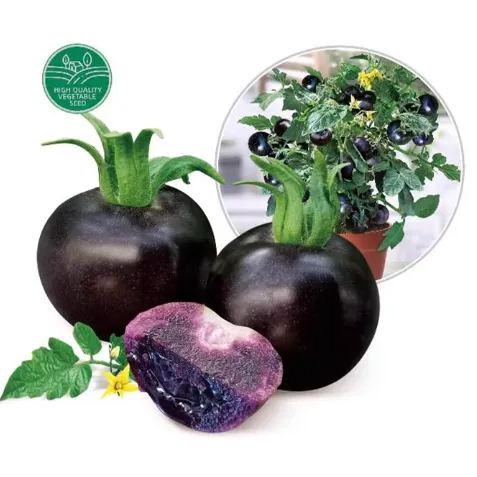 Black Cherry Tomato Seeds
