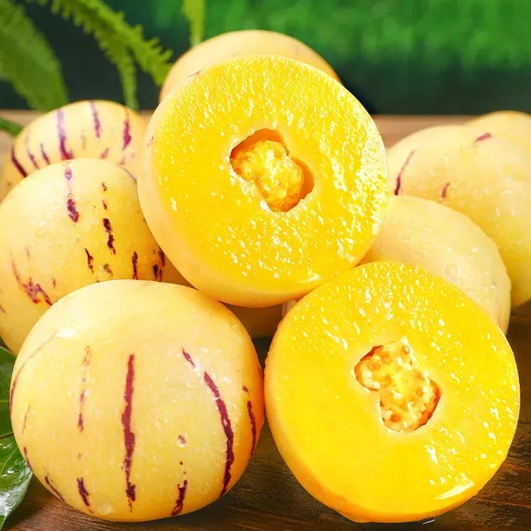 The Fire Of Life-Ginseng Fruit Seeds