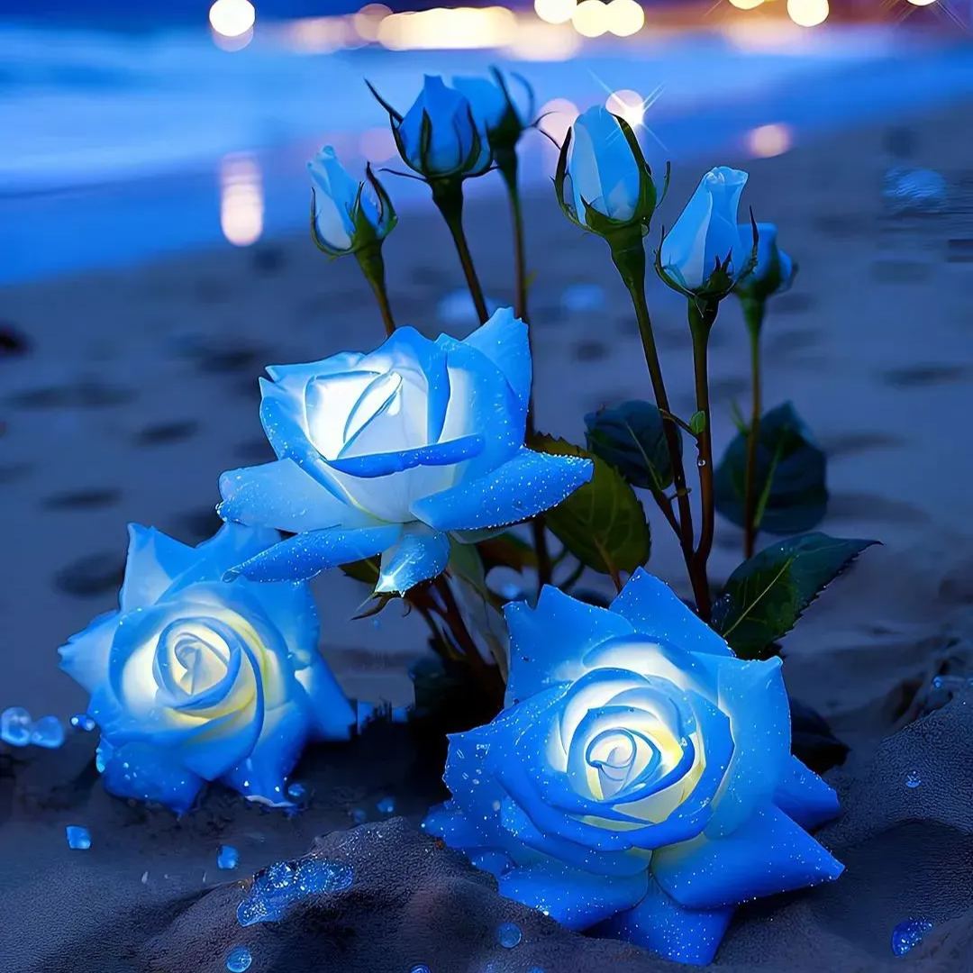 Blue Mist Rose Seeds☁️