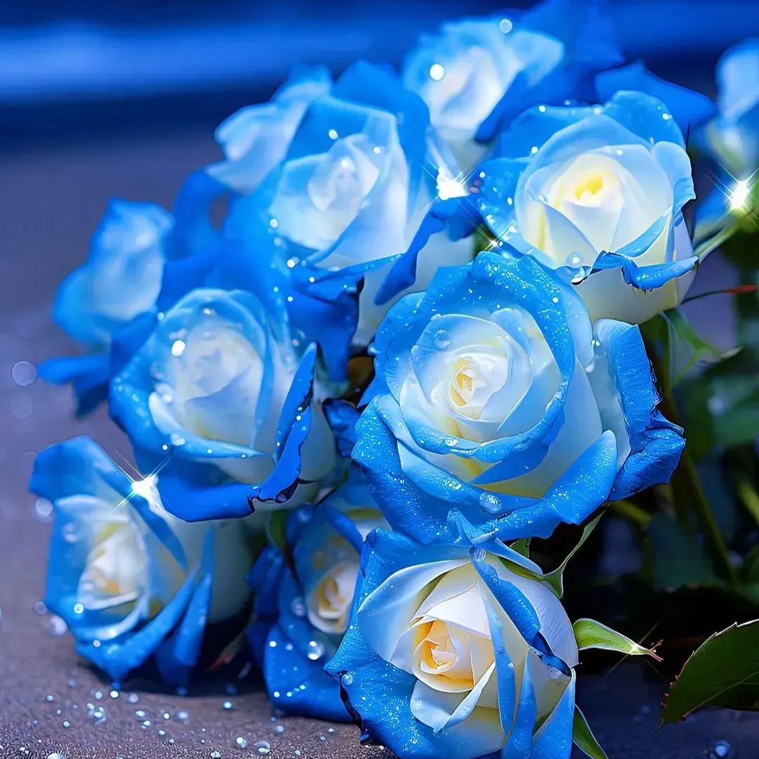 Blue Mist Rose Seeds☁️