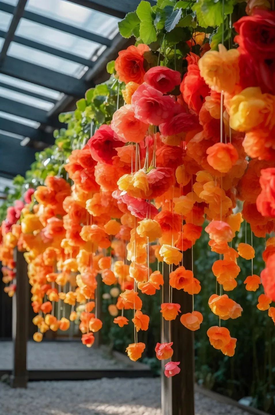 Draping Silk Begonia Seeds