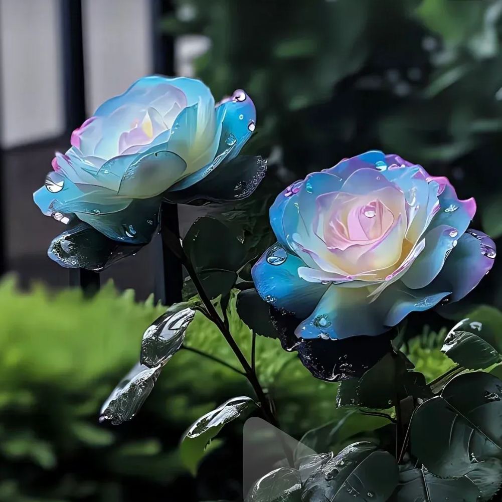 https://img-va.myshopline.com/image/store/1689135872829/-17061721868266.png?w=1059&h=1549