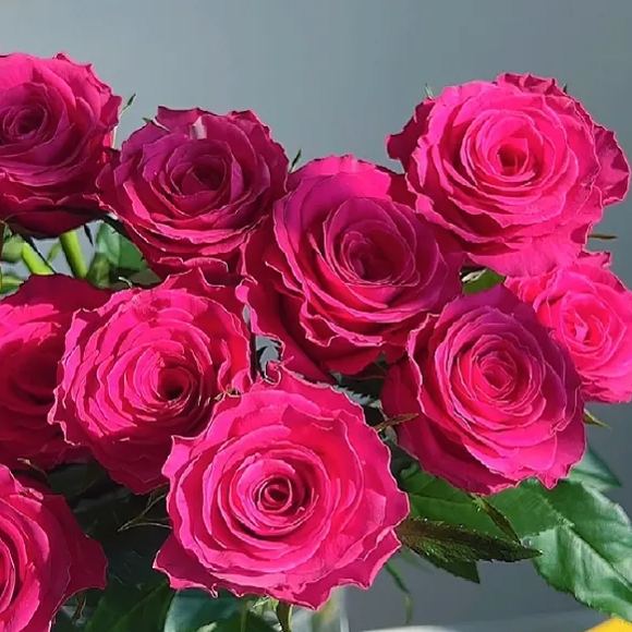 https://img-va.myshopline.com/image/store/1689135872829/-17072038069938.png?w=650&h=650