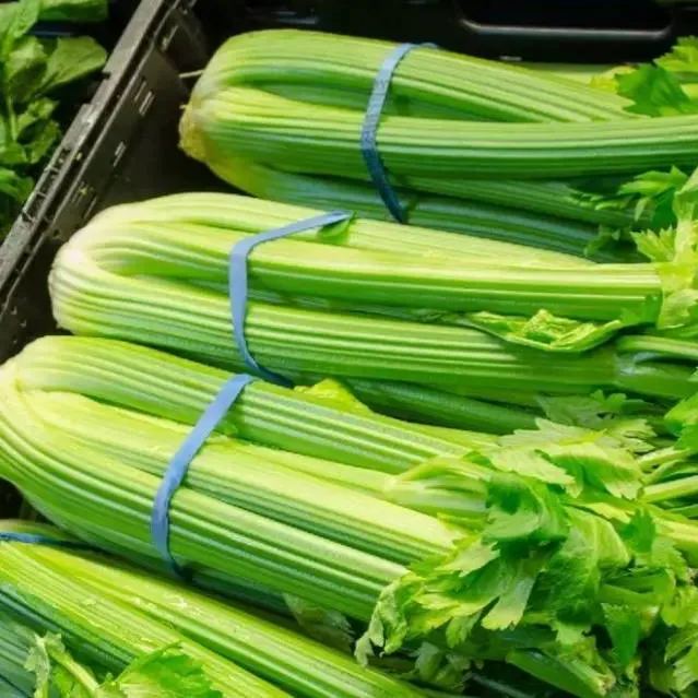 Celery Tango Organic