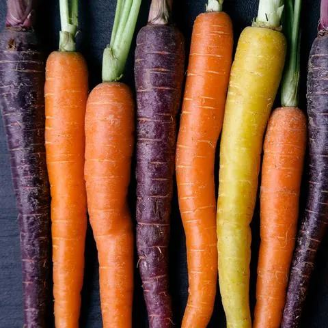 Celery Tango Organic