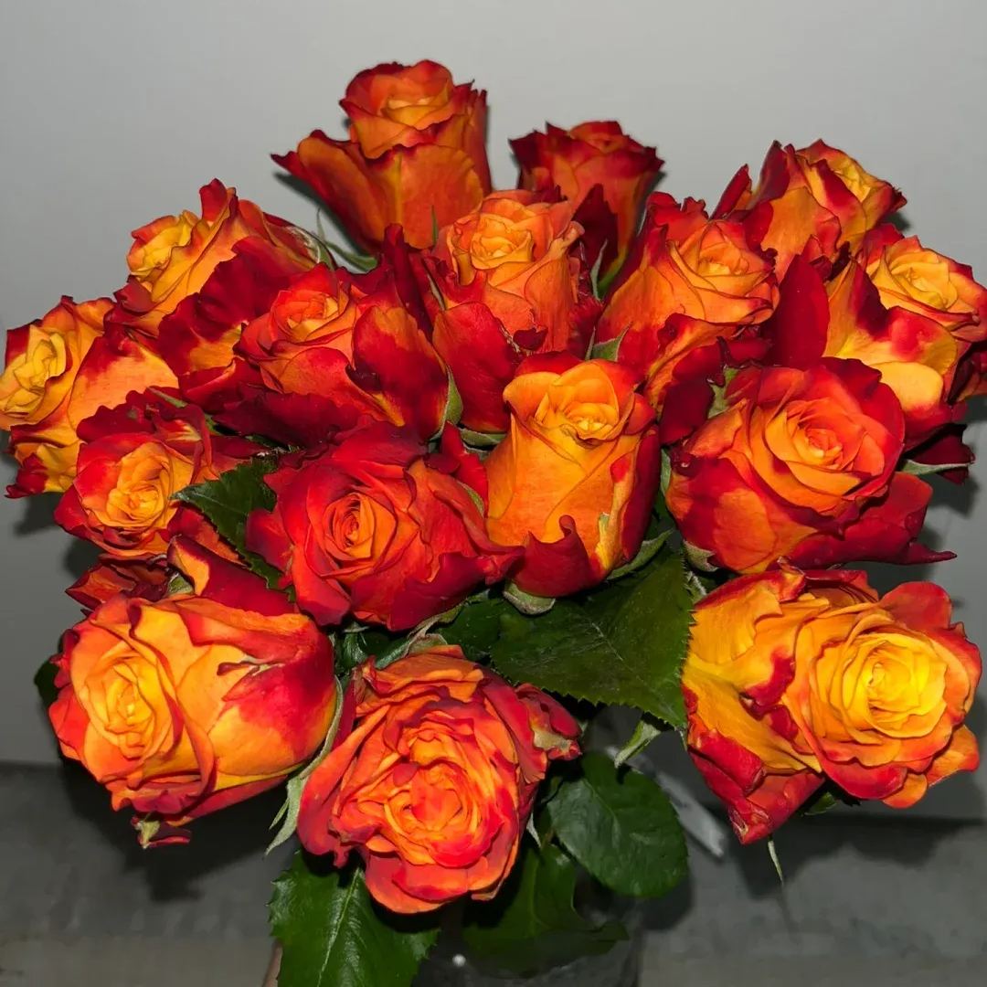 https://img-va.myshopline.com/image/store/1689135872829/-17101408359951.png?w=1080&h=1440