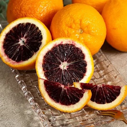 🍊Citrus Fruit Seeds