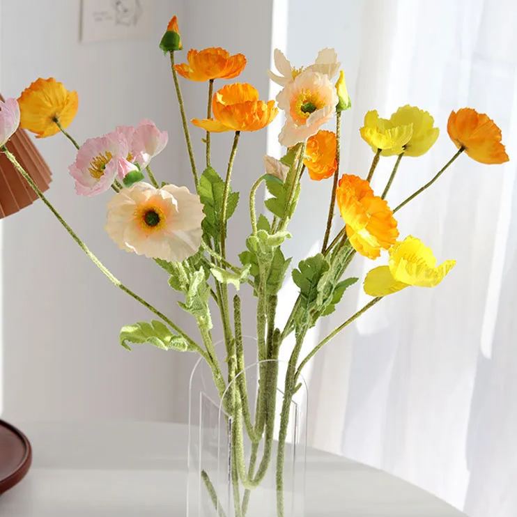https://img-va.myshopline.com/image/store/1689135872829/-17165329929346.png?w=750&h=1008