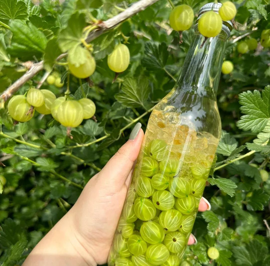 Arctic Bramble Seeds