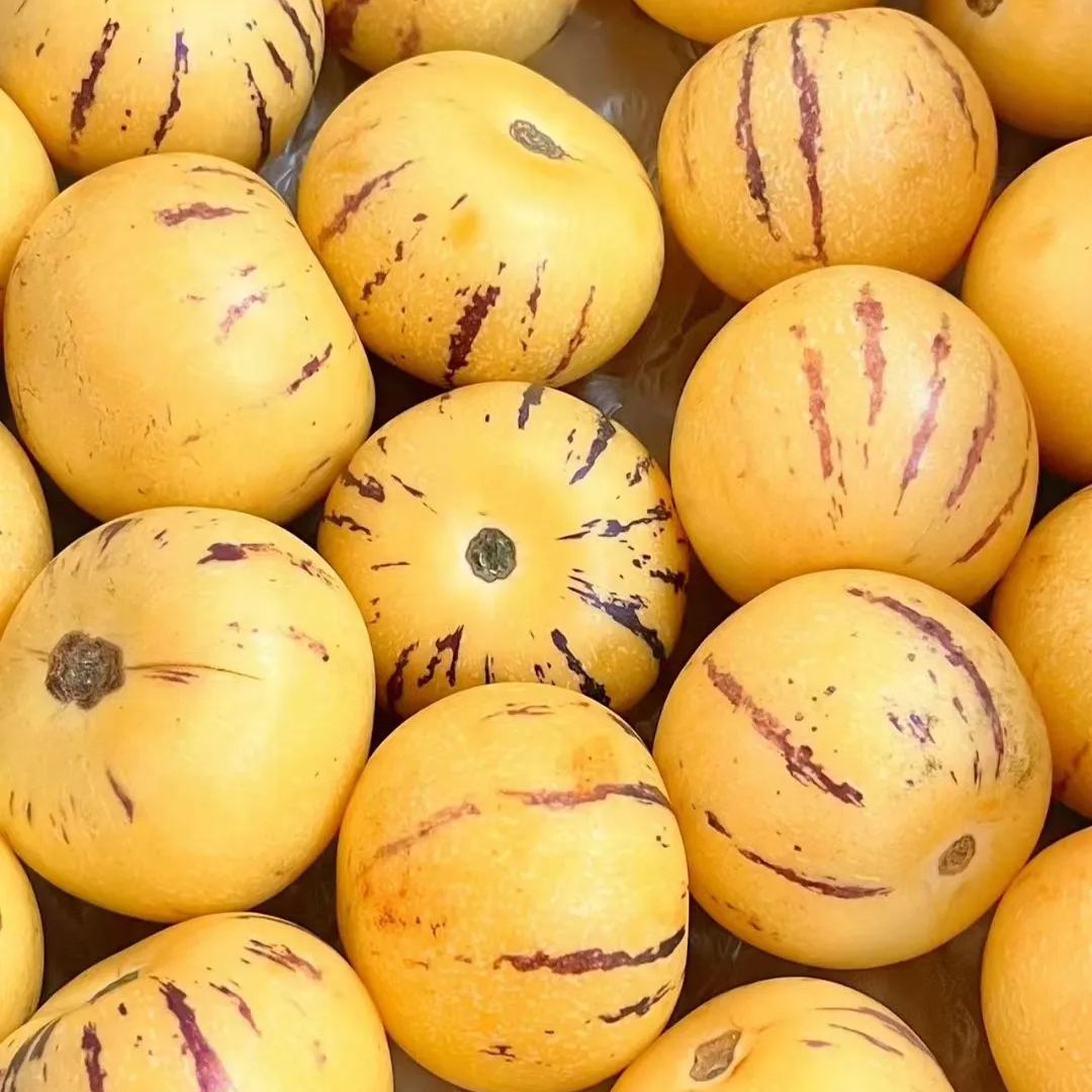 ✨The Fire Of Life-Ginseng Fruit Seeds🥭