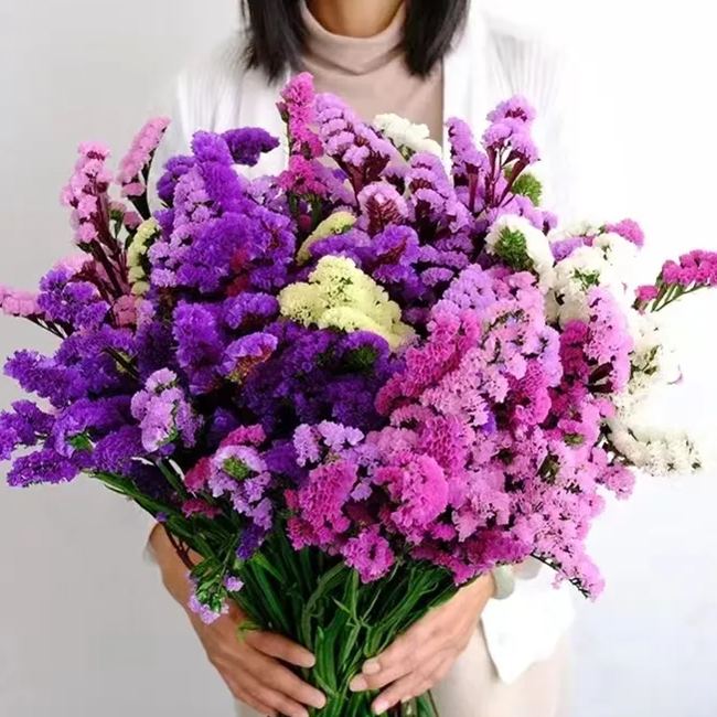 https://img-va.myshopline.com/image/store/1689135872829/-17199938865654.png?w=750&h=750