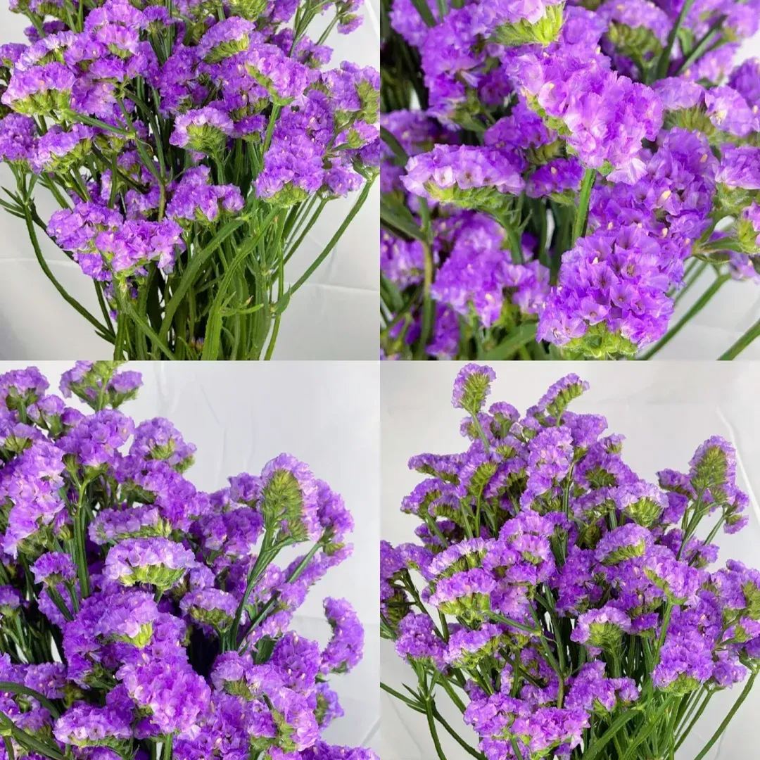 https://img-va.myshopline.com/image/store/1689135872829/-17199949929898.png?w=1080&h=1440