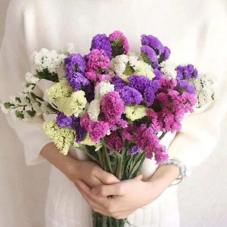 https://img-va.myshopline.com/image/store/1689135872829/-17199951562780.png?w=800&h=800