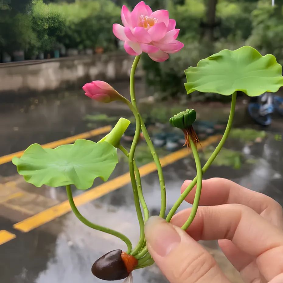 The Sacred Bonsai Lotus Flower🪷