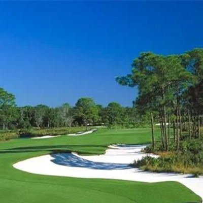  Golf Lawn Evergreen Grass Seeds Home Garden Courtyard Ground Cover Plant DIY, 300pcs Seeds