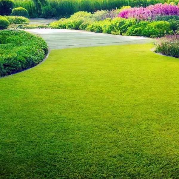  Golf Lawn Evergreen Grass Seeds Home Garden Courtyard Ground Cover Plant DIY, 200 pcs Seeds