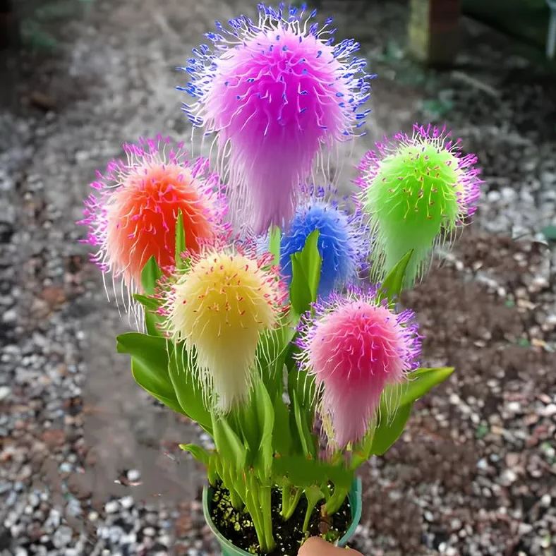Large Plush Fairy Flowers🧚