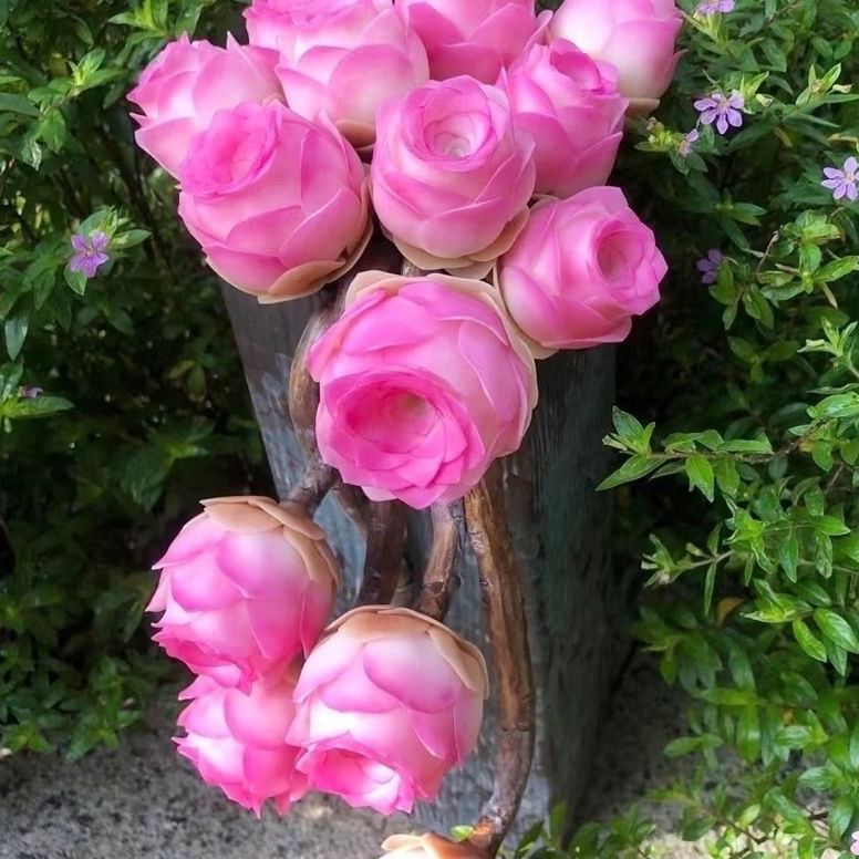 🌿 Mountain Succulent Rose Seeds – Rare Beauty for Your Garden! 🌿