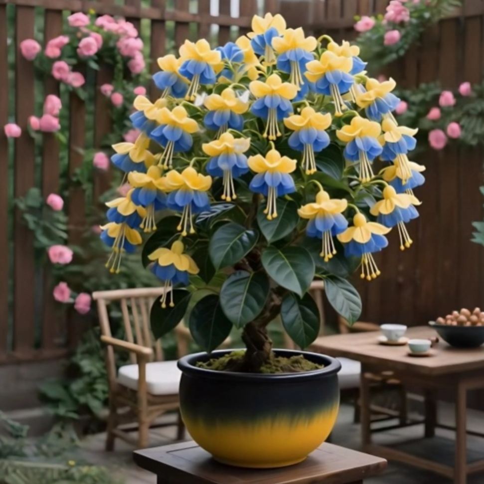 🌸 Rare Double Fuchsia Bulbs--Gorgeous Hanging Blooms | Long-Lasting Color 