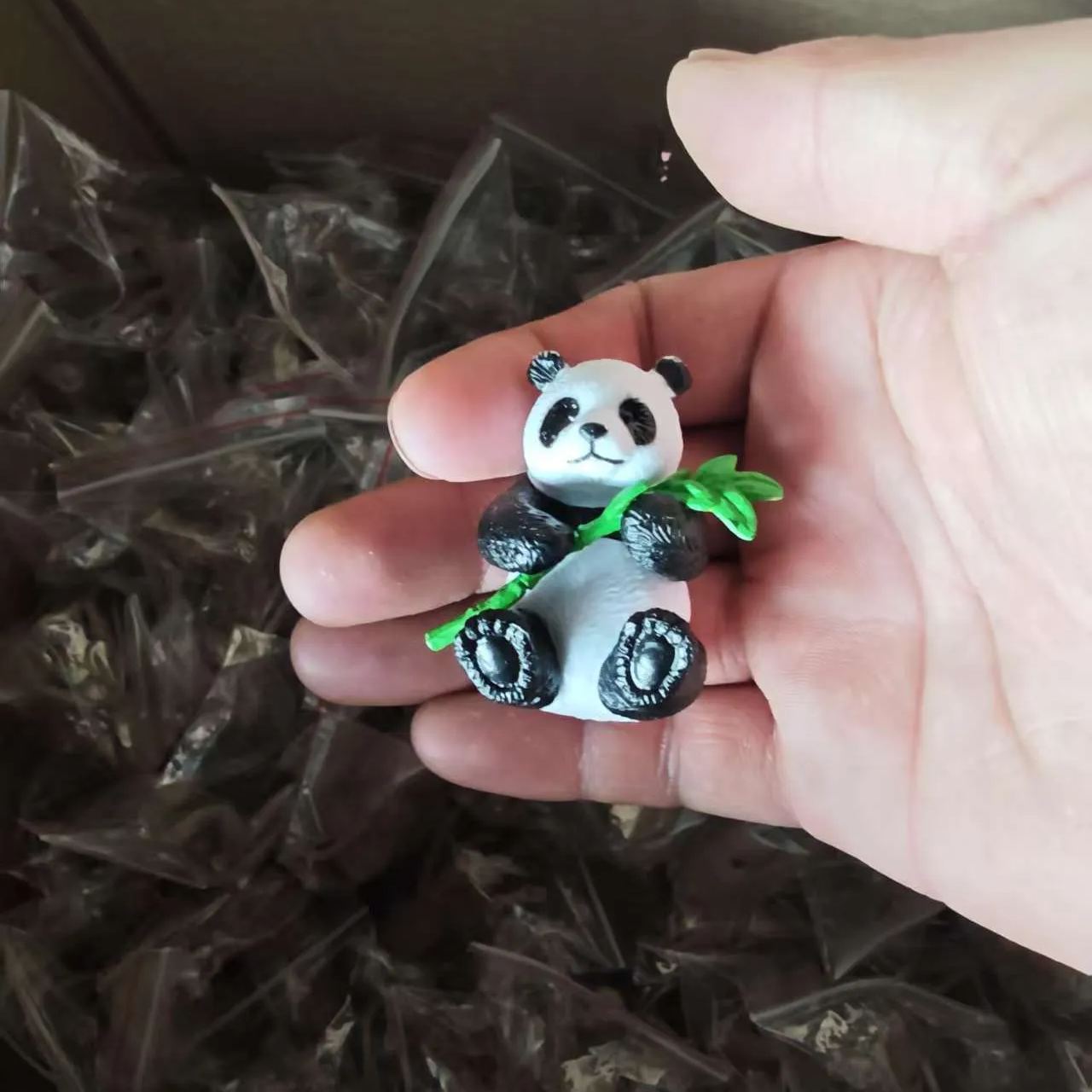 Lucky Brazilian Wood Plant with Pot-- Indoor Desktop Home Decor Purify Air