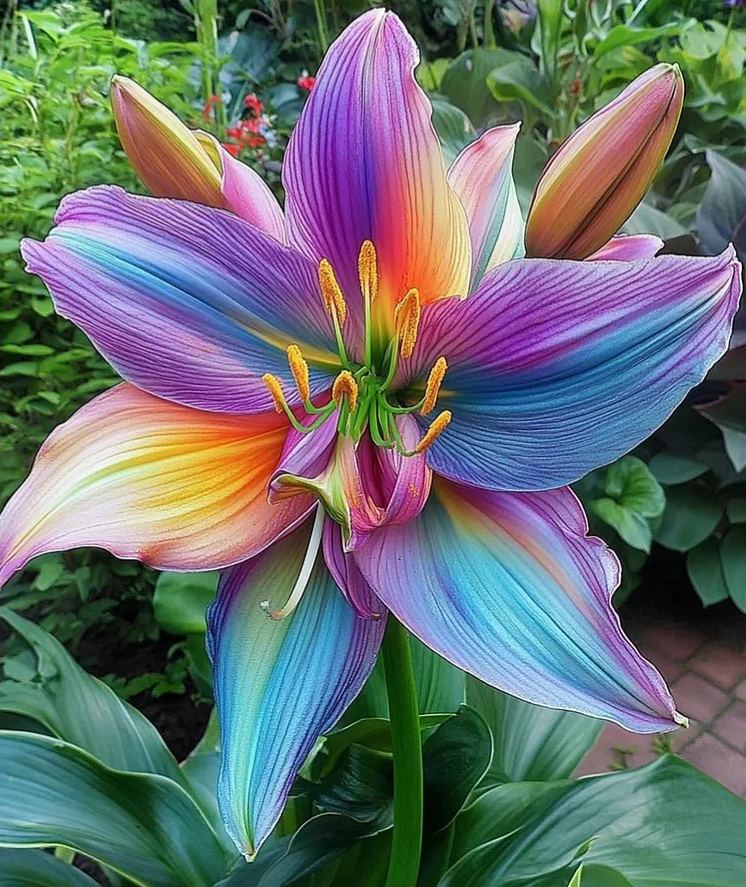 🌺Perfume Lily Bulbs—Fresh and Sweet