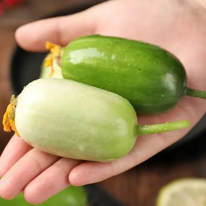 可曾听闻&ldquo;金童玉女&rdquo;小黄瓜？ - 知乎