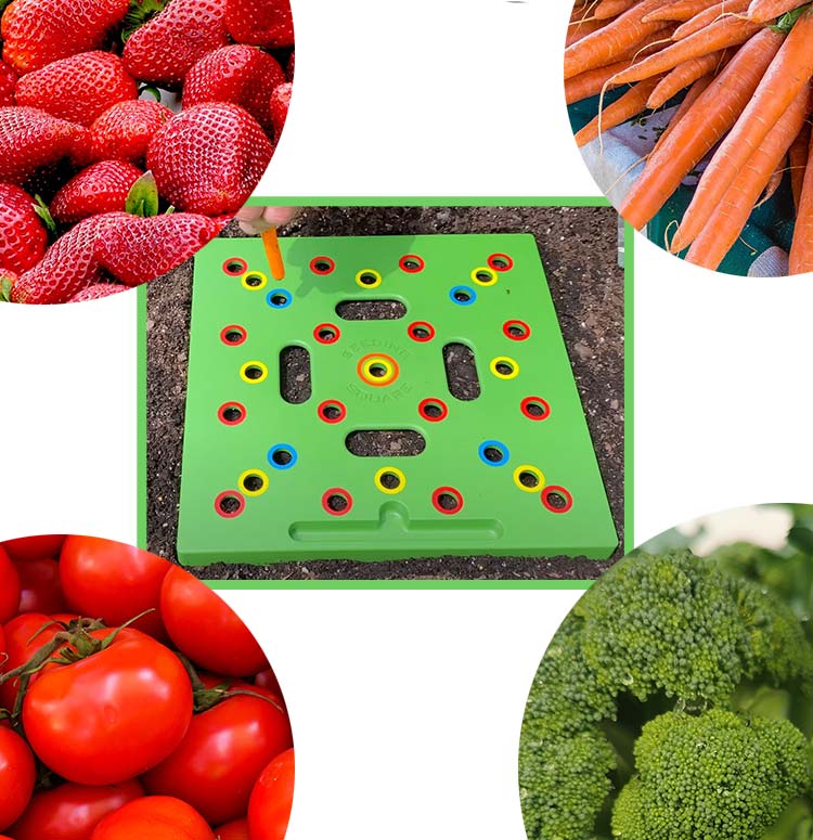 Seeding Square - Ultimate Garden Template + Seed2Splendor e-Guidebook