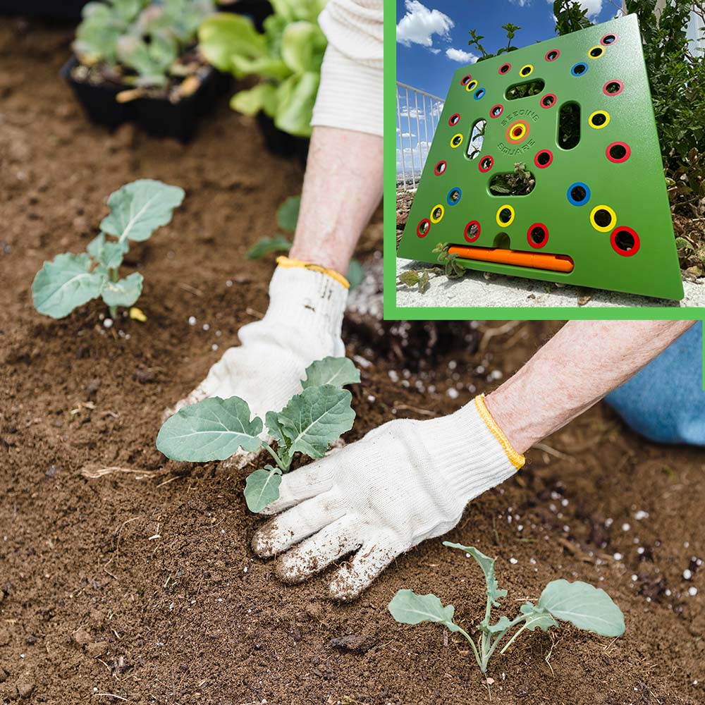 Seeding Square - Ultimate Garden Template + Seed2Splendor e-Guidebook