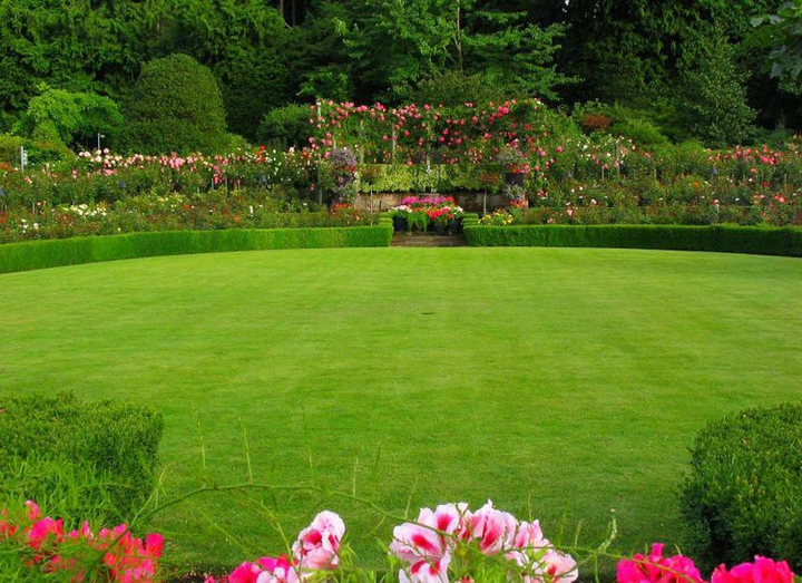 超实用的花园草坪品种知识分享，以后选择草坪再也不用烦恼了- 知乎