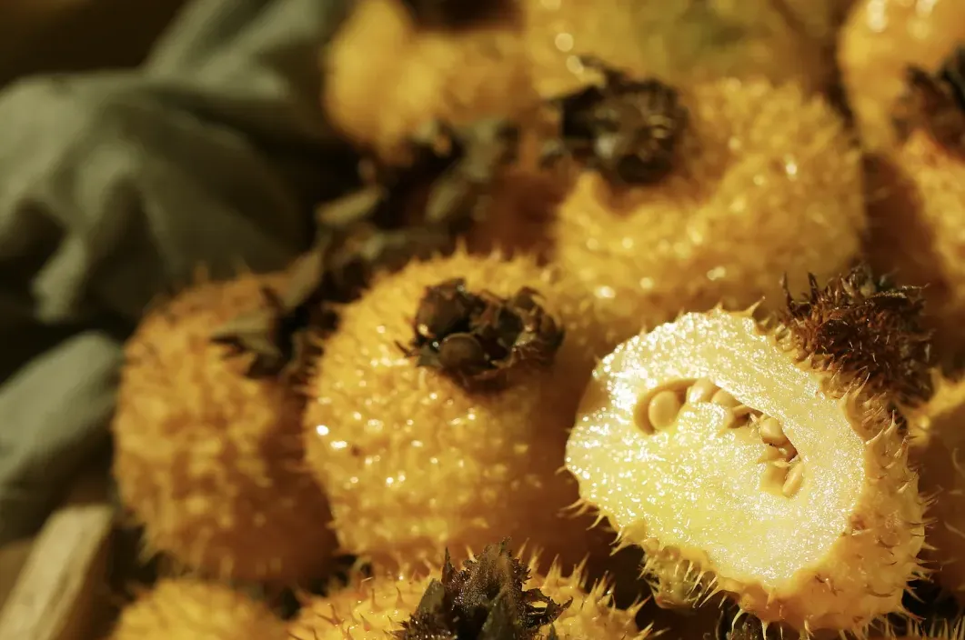 刺梨怎么吃？九种吃法供你选- 知乎