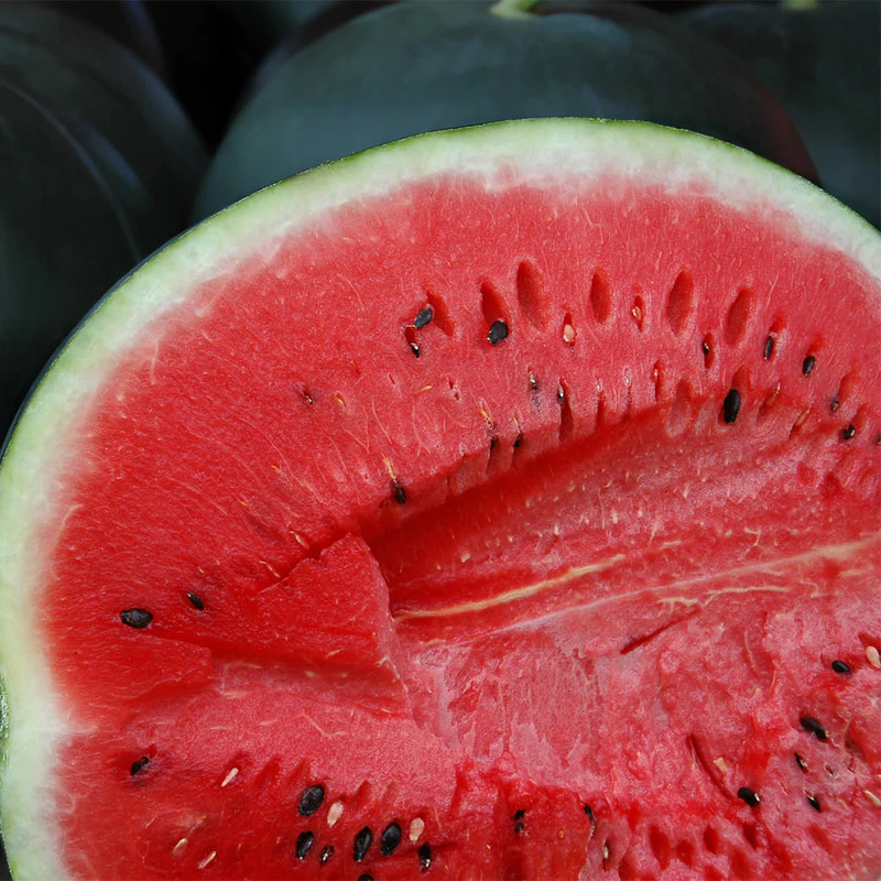 Black Diamond Watermelon Seeds